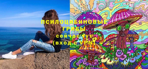 гидра Заволжск