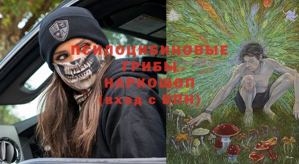 гидра Заволжск