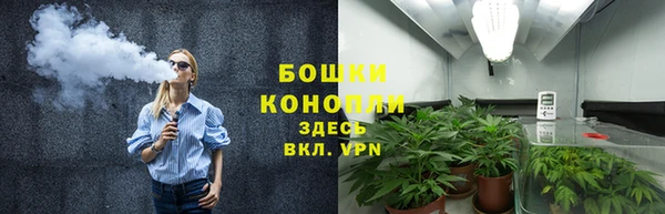 гидра Заволжск