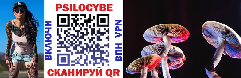 Галлюциногенные грибы Magic Shrooms  Сретенск 